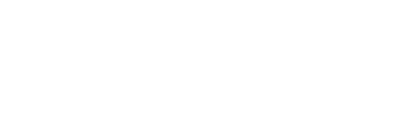 Your Decor Plug